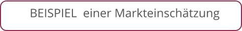 BEISPIEL  einer Markteinschätzung
